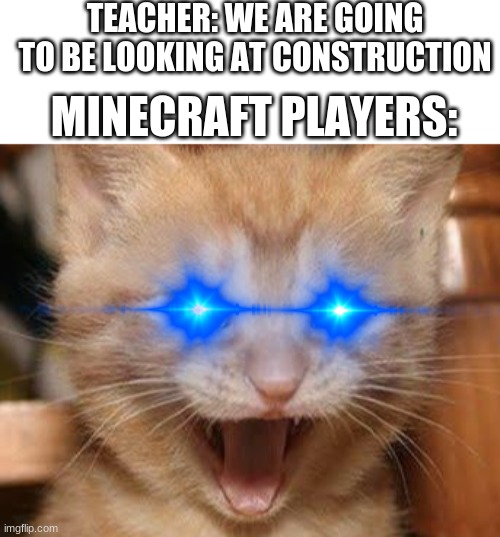I am 4 parallel universes ahead of you | TEACHER: WE ARE GOING TO BE LOOKING AT CONSTRUCTION; MINECRAFT PLAYERS: | image tagged in memes,excited cat,minecraft,teachers | made w/ Imgflip meme maker