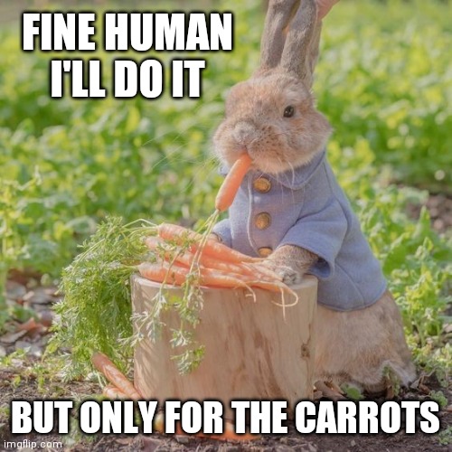 NOT SURE IT'S WORTH IT | FINE HUMAN I'LL DO IT; BUT ONLY FOR THE CARROTS | image tagged in bunny,rabbits,bunnies | made w/ Imgflip meme maker
