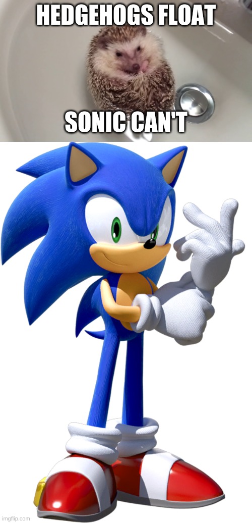 WTF game logic | HEDGEHOGS FLOAT; SONIC CAN'T | image tagged in sonic the hedgehog,video games | made w/ Imgflip meme maker