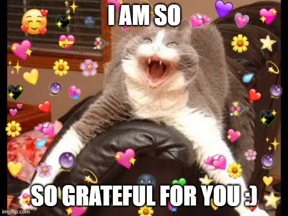 :D |  I AM SO; SO GRATEFUL FOR YOU :) | image tagged in wholesome cat | made w/ Imgflip meme maker