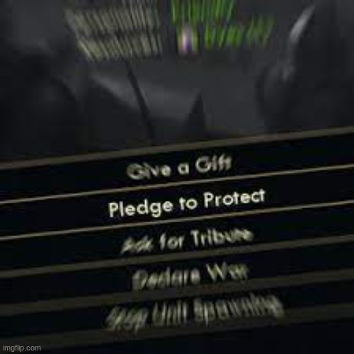 pledge to protect | image tagged in pledge to protect | made w/ Imgflip meme maker