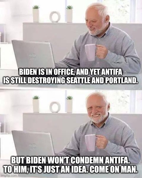 Any new thoughts on the “idea” Joe? | BIDEN IS IN OFFICE, AND YET ANTIFA IS STILL DESTROYING SEATTLE AND PORTLAND. BUT BIDEN WON’T CONDEMN ANTIFA. TO HIM, IT’S JUST AN IDEA. COME | image tagged in memes,hide the pain harold,joe biden,antifa,idea,riots | made w/ Imgflip meme maker