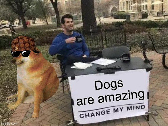 you won't | Dogs are amazing | image tagged in memes,change my mind | made w/ Imgflip meme maker