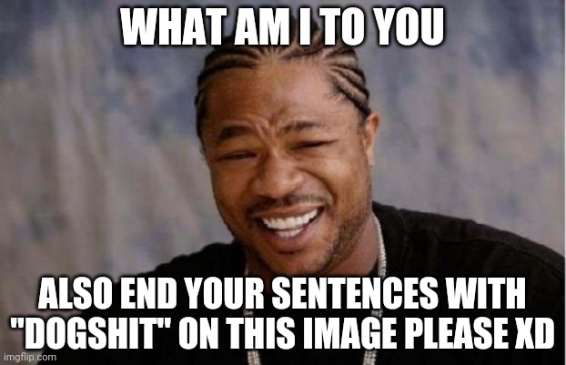 Yo Dawg Heard You Meme | WHAT AM I TO YOU; ALSO END YOUR SENTENCES WITH "DOGSHIT" ON THIS IMAGE PLEASE XD | image tagged in memes,yo dawg heard you | made w/ Imgflip meme maker