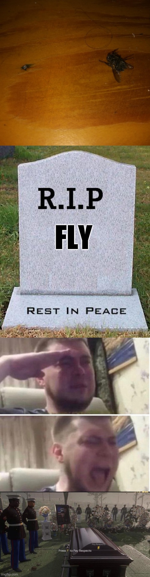 rip | FLY | image tagged in rip headstone,crying salute,press f to pay respects,sad,fly | made w/ Imgflip meme maker