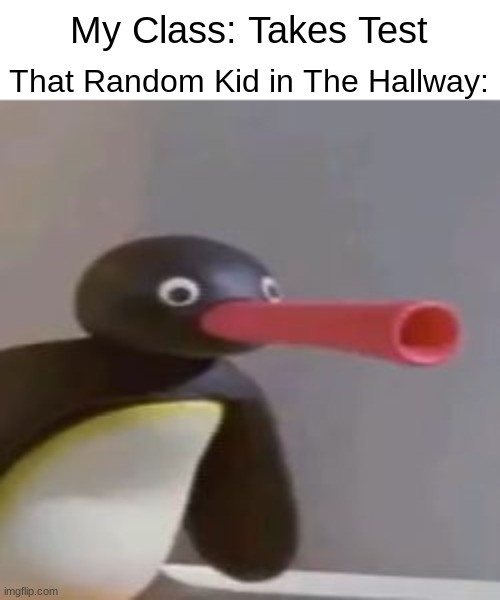 this is true | My Class: Takes Test; That Random Kid in The Hallway: | image tagged in noot noot,funny,memes | made w/ Imgflip meme maker
