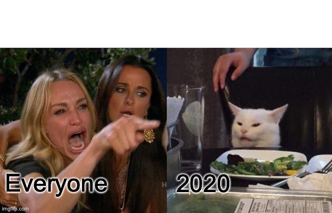 Woman Yelling At Cat | Everyone; 2020 | image tagged in memes,woman yelling at cat | made w/ Imgflip meme maker