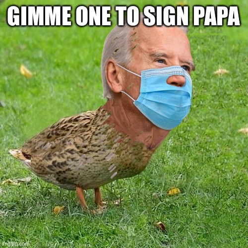 Joe BidenDuck | GIMME ONE TO SIGN PAPA | image tagged in joe bidenduck | made w/ Imgflip meme maker