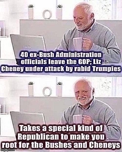 Once the bad guys: Now the sane ones | image tagged in bush,dick cheney,trump to gop,gop,republicans,republican party | made w/ Imgflip meme maker