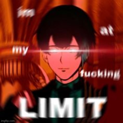 I'm at my limit | image tagged in i'm at my limit | made w/ Imgflip meme maker