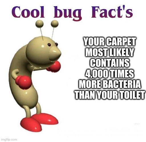 Cool Bug Facts | YOUR CARPET MOST LIKELY CONTAINS 4,000 TIMES MORE BACTERIA THAN YOUR TOILET | image tagged in cool bug facts | made w/ Imgflip meme maker