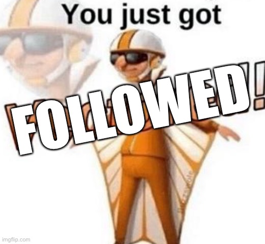 You just got vectored | FOLLOWED | image tagged in you just got vectored | made w/ Imgflip meme maker