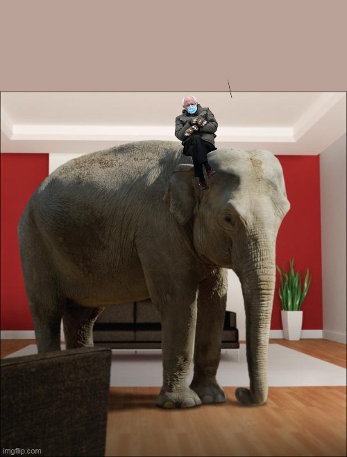 Elephant In The Room | image tagged in elephant in the room,memes,bernie mittens | made w/ Imgflip meme maker