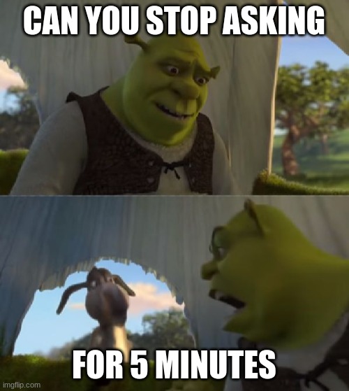 Could you not ___ for 5 MINUTES | CAN YOU STOP ASKING FOR 5 MINUTES | image tagged in could you not ___ for 5 minutes | made w/ Imgflip meme maker