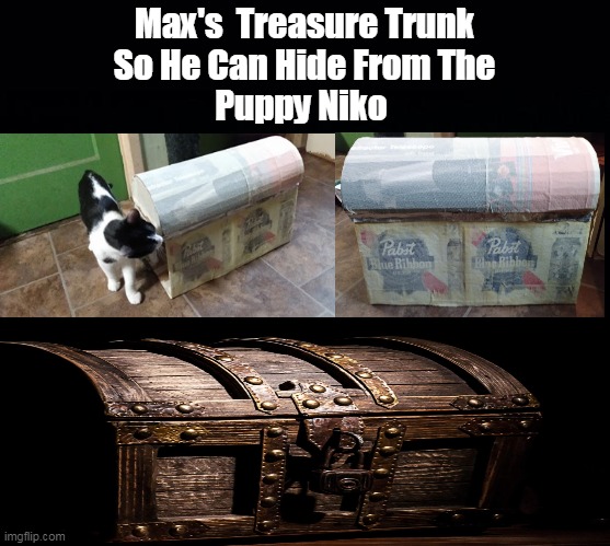 Max's Treasure Chest | Max's  Treasure Trunk
So He Can Hide From The
Puppy Niko | image tagged in hide and seek,kittens,puppies | made w/ Imgflip meme maker