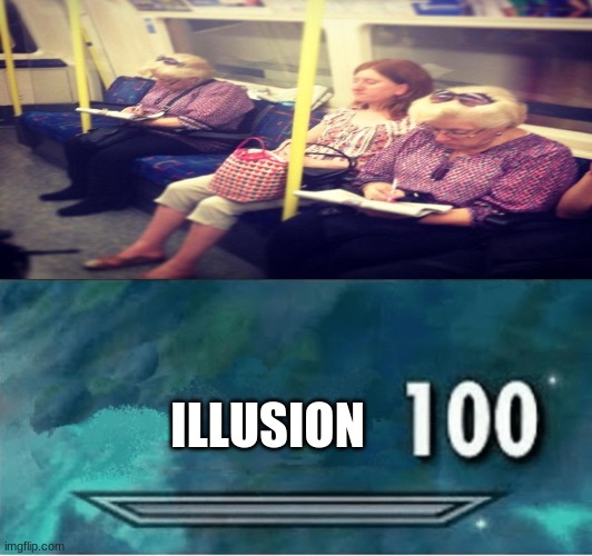 I had no more gaming submits | ILLUSION | image tagged in illusion 100,twins | made w/ Imgflip meme maker