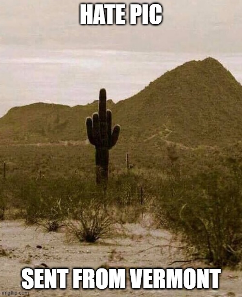Desert Hate | HATE PIC; SENT FROM VERMONT | image tagged in desert,satire,flip the bird,vermont,middle finger | made w/ Imgflip meme maker