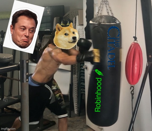 Doge | image tagged in memes,doge,elon musk,crypto,cryptocurrency,stonks | made w/ Imgflip meme maker