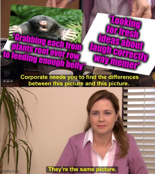 -Mole and roots. | *Looking for fresh ideas about laugh correctly way memer*; *Grabbing each from plants root over row to feeding enough belly* | image tagged in memes,they're the same picture,animals to humans,oblivious suburban mom,throw,roots | made w/ Imgflip meme maker