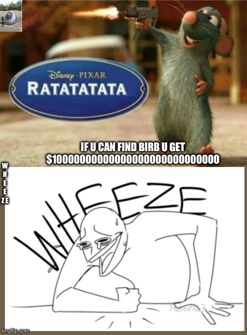 ratatata | IF U CAN FIND BIRB U GET $10000000000000000000000000000; W H E E Z E | image tagged in ratatata | made w/ Imgflip meme maker