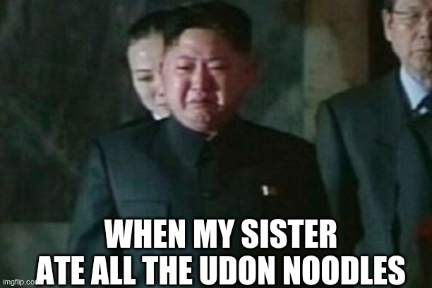 Kim Jong Un Sad | WHEN MY SISTER ATE ALL THE UDON NOODLES | image tagged in kim jong un sad,depression | made w/ Imgflip meme maker