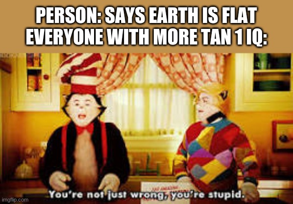 s t u p i d | PERSON: SAYS EARTH IS FLAT
EVERYONE WITH MORE TAN 1 IQ: | image tagged in your not just wrong your stupid | made w/ Imgflip meme maker