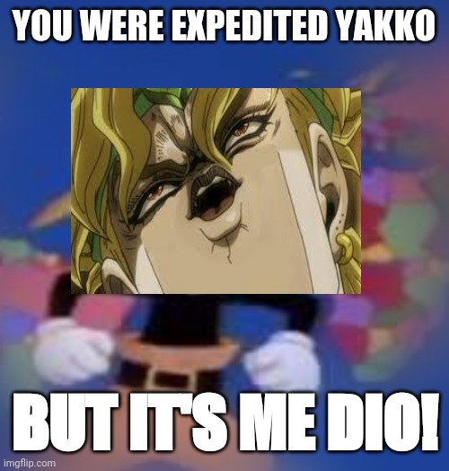 YAKKO | YOU WERE EXPEDITED YAKKO; BUT IT'S ME DIO! | image tagged in yakko | made w/ Imgflip meme maker