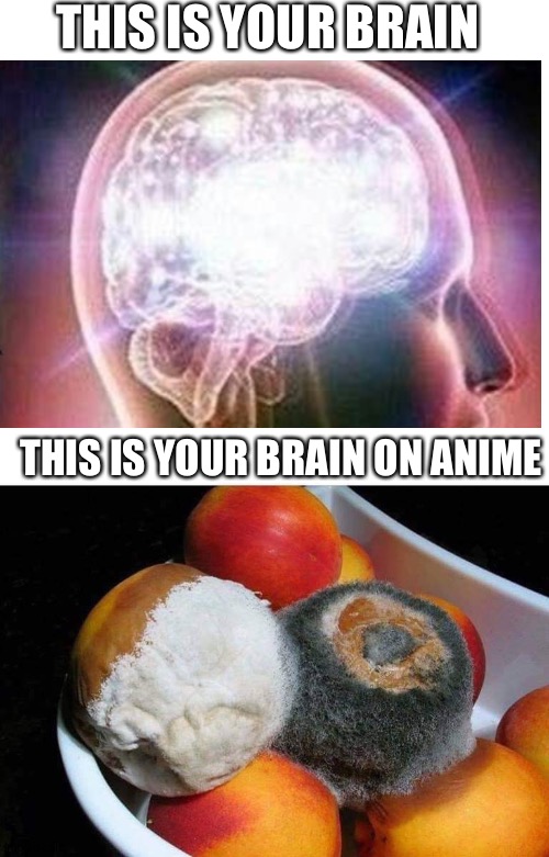 anime is not good for the human body | THIS IS YOUR BRAIN; THIS IS YOUR BRAIN ON ANIME | image tagged in rotten fruit meme | made w/ Imgflip meme maker
