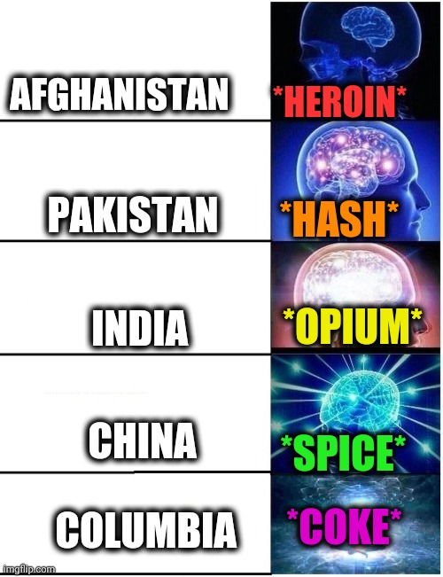 -Ladder of inner flows. | AFGHANISTAN; *HEROIN*; PAKISTAN; *HASH*; INDIA; *OPIUM*; CHINA; *SPICE*; COLUMBIA; *COKE* | image tagged in expanding brain 5 panel,drugs are bad,don't do drugs,your country needs you,tourism,so you have chosen death | made w/ Imgflip meme maker