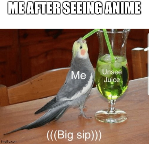 Unsee juice | ME AFTER SEEING ANIME | image tagged in unsee juice | made w/ Imgflip meme maker
