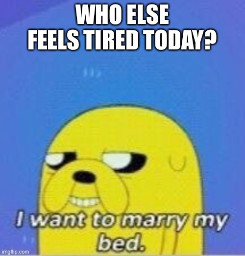 I want to marry my bed | WHO ELSE FEELS TIRED TODAY? | image tagged in i want to marry my bed | made w/ Imgflip meme maker