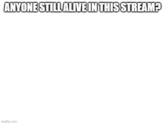 Blank White Template | ANYONE STILL ALIVE IN THIS STREAM? | image tagged in blank white template | made w/ Imgflip meme maker
