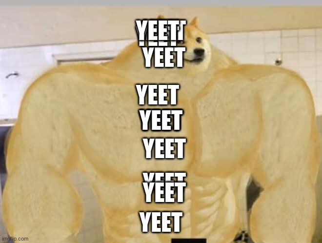 Buff Doge | YEET YEET YEET YEET YEET YEET YEET YEET YEET YEET YEET | image tagged in buff doge | made w/ Imgflip meme maker