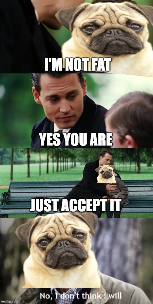 Pugs aren't fat | I'M NOT FAT; YES YOU ARE; JUST ACCEPT IT | image tagged in memes,finding neverland,no i dont think i will | made w/ Imgflip meme maker