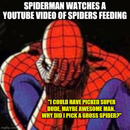 Sad Spiderman | SPIDERMAN WATCHES A YOUTUBE VIDEO OF SPIDERS FEEDING; "I COULD HAVE PICKED SUPER DUDE, MAYBE AWESOME MAN.  WHY DID I PICK A GROSS SPIDER?" | image tagged in memes,sad spiderman,spiderman | made w/ Imgflip meme maker