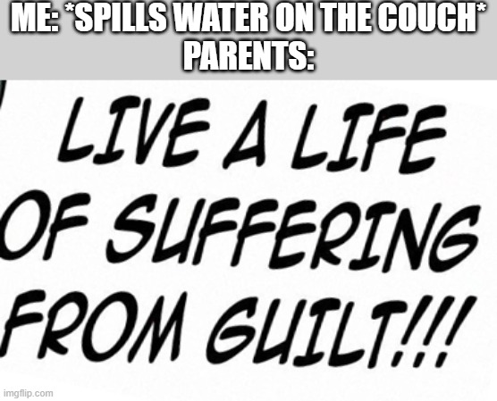 ME: *SPILLS WATER ON THE COUCH*
PARENTS: | made w/ Imgflip meme maker