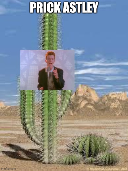 Teacher: why r u laughing? Me: nothing. My brain: | PRICK ASTLEY | image tagged in cactus | made w/ Imgflip meme maker