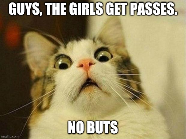 The dudes got passes. It's only fair | GUYS, THE GIRLS GET PASSES. NO BUTS | image tagged in memes,scared cat | made w/ Imgflip meme maker