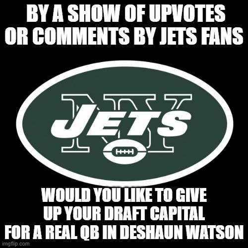 Would you trade for the Texans QB | BY A SHOW OF UPVOTES OR COMMENTS BY JETS FANS; WOULD YOU LIKE TO GIVE UP YOUR DRAFT CAPITAL FOR A REAL QB IN DESHAUN WATSON | image tagged in ny jets | made w/ Imgflip meme maker