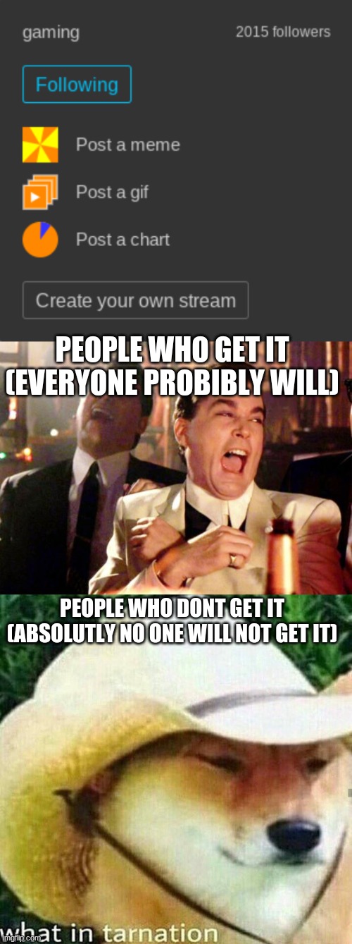 PEOPLE WHO GET IT (EVERYONE PROBIBLY WILL); PEOPLE WHO DONT GET IT (ABSOLUTLY NO ONE WILL NOT GET IT) | image tagged in goodfellas laugh,what in tarnation dog,gaming | made w/ Imgflip meme maker