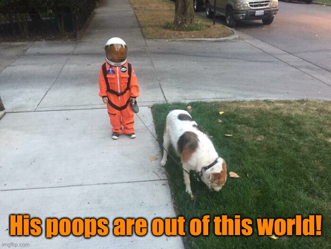 Doodie Duty | His poops are out of this world! | image tagged in funny memes,funny dog memes,dogs | made w/ Imgflip meme maker