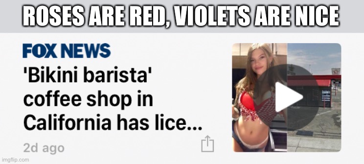 Comment if you want to see the full headline | ROSES ARE RED, VIOLETS ARE NICE | image tagged in barista,bikini,fox news,roses are red | made w/ Imgflip meme maker