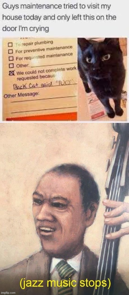 image tagged in jazz music stops | made w/ Imgflip meme maker