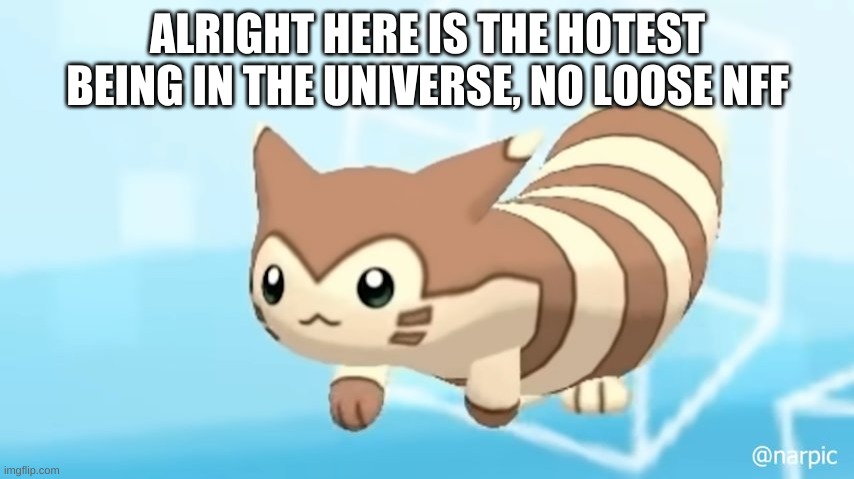 Furret Walcc | ALRIGHT HERE IS THE HOTEST BEING IN THE UNIVERSE, NO LOOSE NFF | image tagged in furret walcc | made w/ Imgflip meme maker