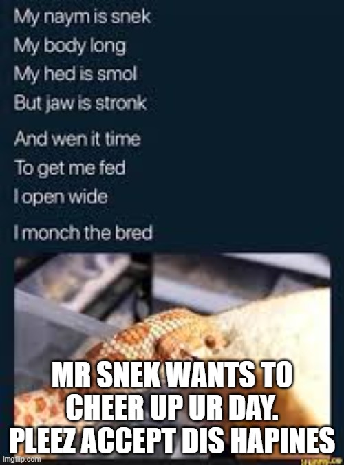 MR SNEK WANTS TO CHEER UP UR DAY. PLEEZ ACCEPT DIS HAPINES | made w/ Imgflip meme maker