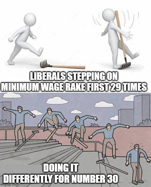 Don't worry.  It will be different this time! | LIBERALS STEPPING ON MINIMUM WAGE RAKE FIRST 29 TIMES; DOING IT DIFFERENTLY FOR NUMBER 30 | image tagged in person stepping on rake,libtard liberals retarding progress,liberal insanity,democrats kill | made w/ Imgflip meme maker