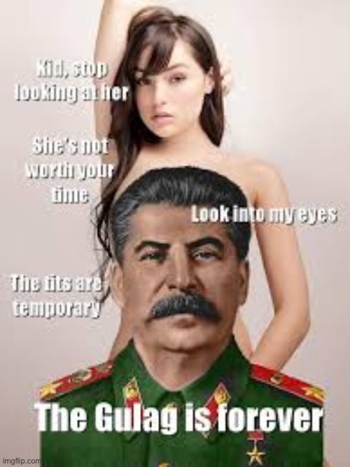 Help me help you, comrade | image tagged in no horny comrade | made w/ Imgflip meme maker