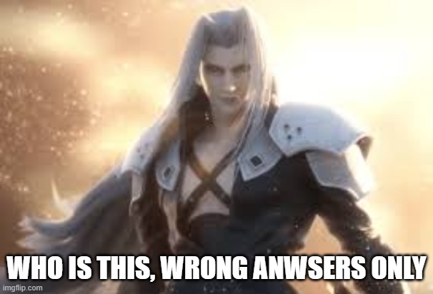 SEPHIROTH | WHO IS THIS, WRONG ANWSERS ONLY | made w/ Imgflip meme maker