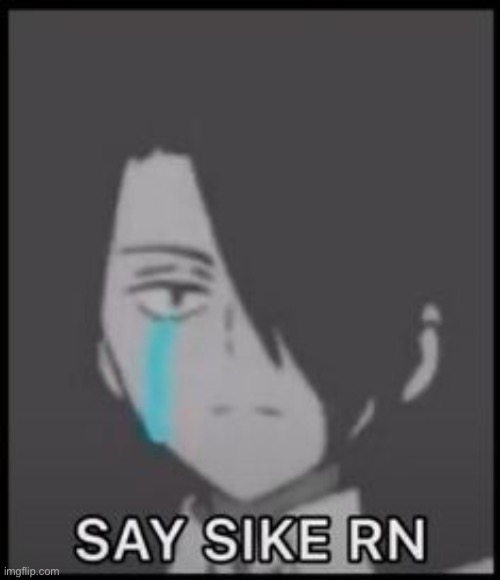 Say it | image tagged in say it | made w/ Imgflip meme maker