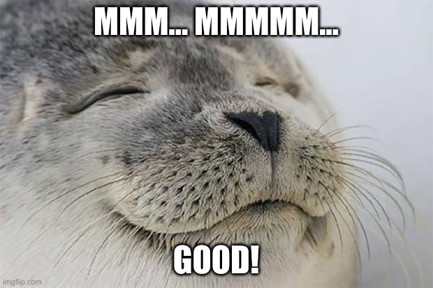 Good Times | MMM... MMMMM... GOOD! | image tagged in memes,satisfied seal | made w/ Imgflip meme maker